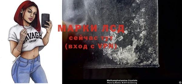 мдпв Инта