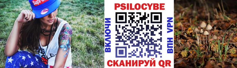 Купить закладки  Зеленогорск  Псилоцибиновые грибы Psilocybe 